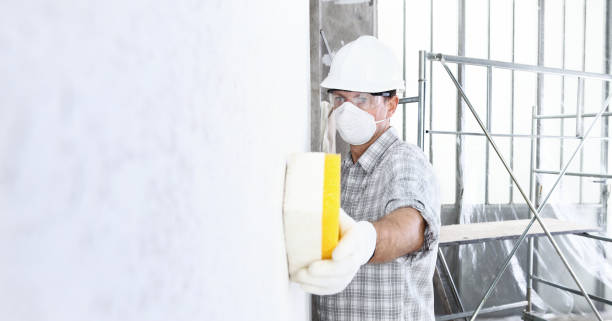 Why You Should Choose Our Mold Remediation Services in White Oak, OH